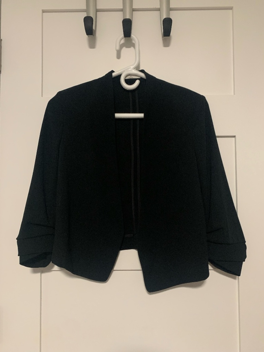Aritzia Babaton Blazer (size 0)